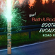 Image for article titled Bath & Body Works Unveils New Soothing Eucalyptus Road Flare
